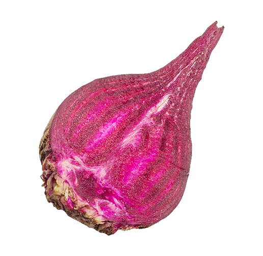 Beet vegetable