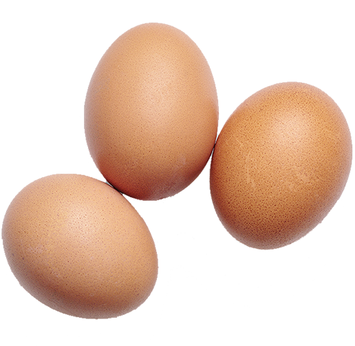 Eggs eggs